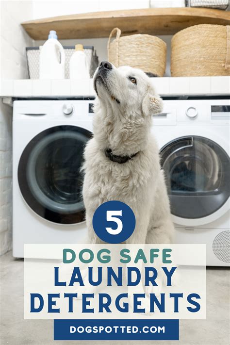 Dog Safe Laundry Detergents