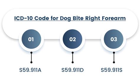 dog scratch icd 10 code