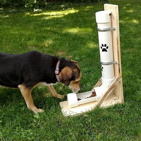 Dog Self Feeder Diy