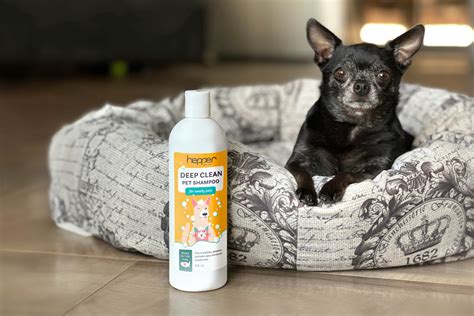 Dog Shampoo For Odor