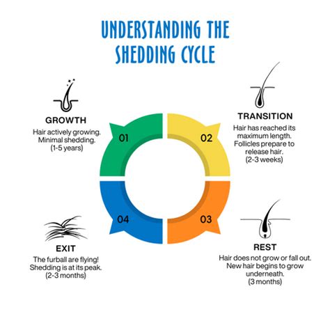Dog Shedding Cycle
