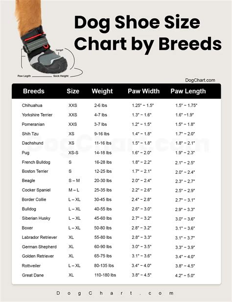 Dog Shoe Sizes