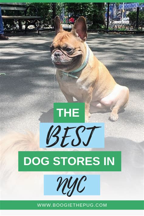 Dog Shops Nyc