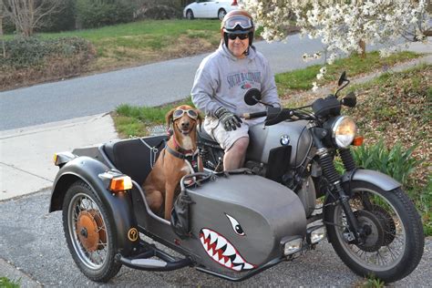 Dog Side Car Motorcycle