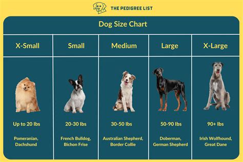 Dog Size Classification Chart