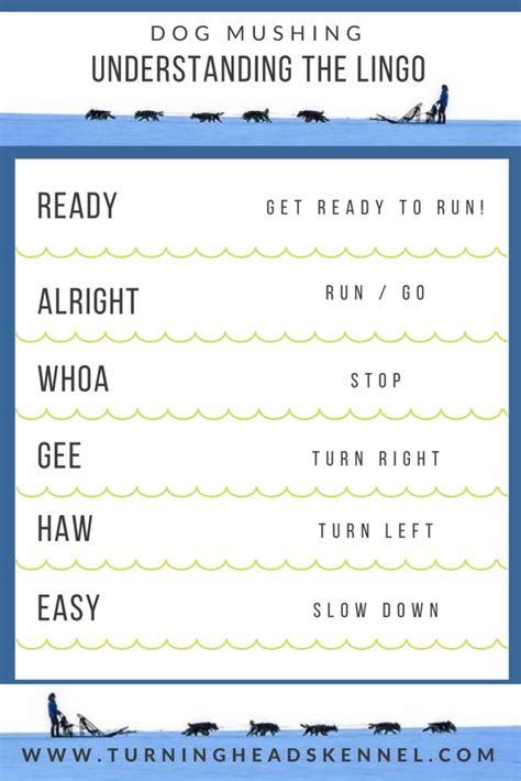 Dog Sledding Commands