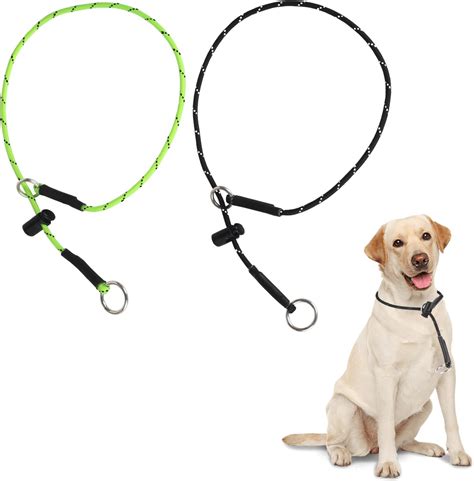Dog Slip Collar