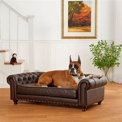 Dog Sofa Bed Bath And Beyond