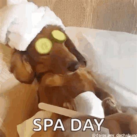 Pin by Julie Haggerty on It’s a Dog’s Life in 2020 Doggie day spa