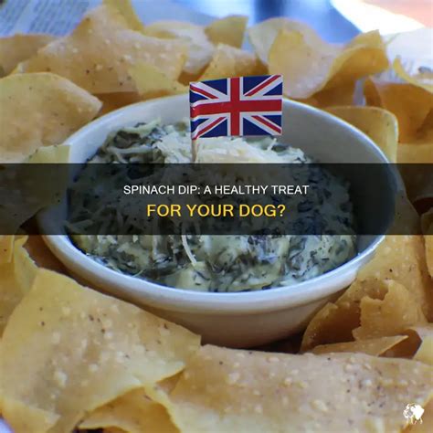 Dog Spinach Dip