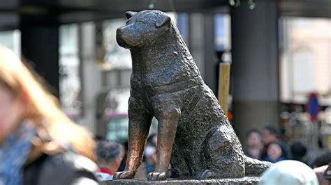 Dog Statue Onslow