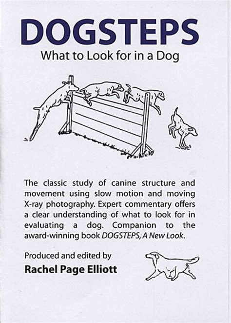 Dog Steps Book
