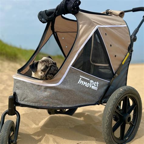 Dog Stroller For The Beach