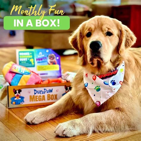 Dog Subscription Box Philippines