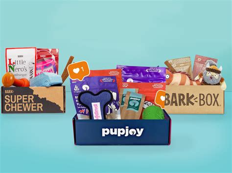 Dog Subscription Boxes For Chewers