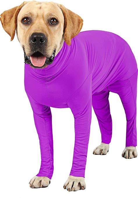 Dog Suit Amazon