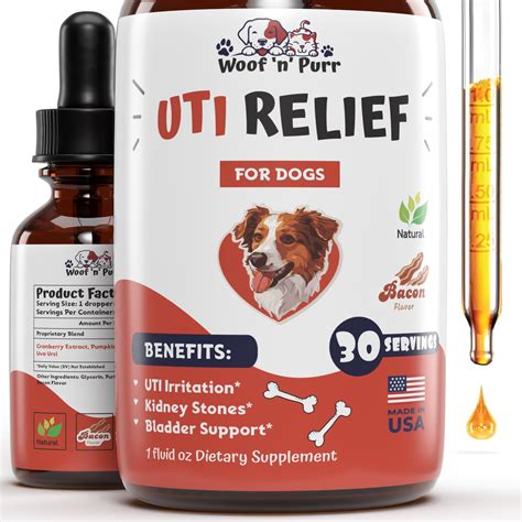 Dog Supplements For Uti