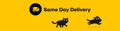 Dog Supplies Same Day Delivery