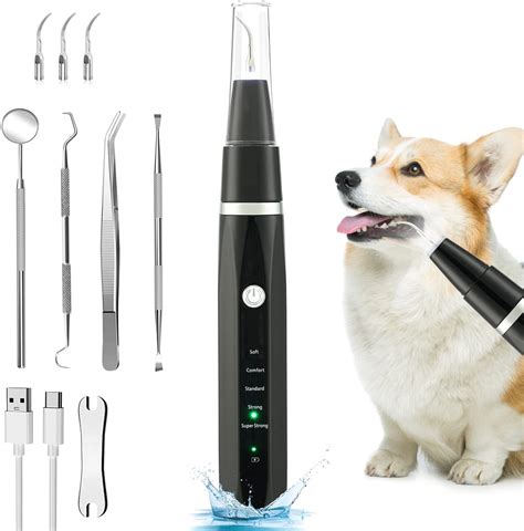 Dog Teeth Cleaning Kit Amazon