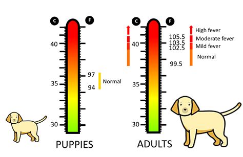 Dog Temperature 39.7
