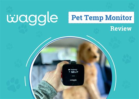 Dog Temperature Monitor