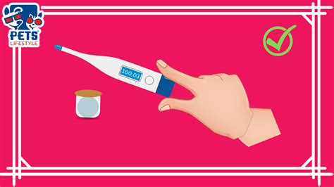 Dog Thermometer Lubricant