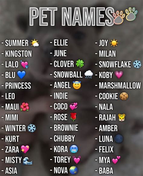 Dog Tiktok Usernames
