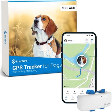 Dog Tracking Reviews