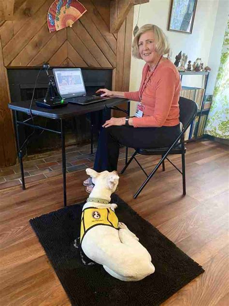 Dog Trainer Austin Texas