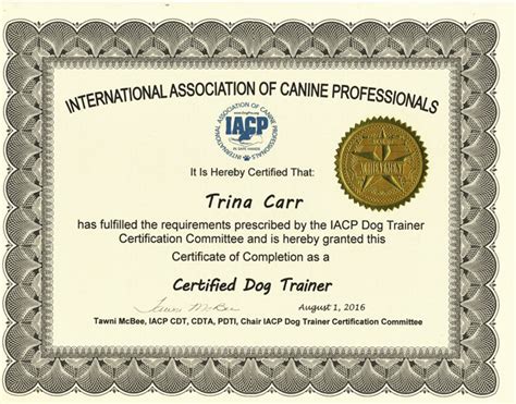 dog trainer certification schools