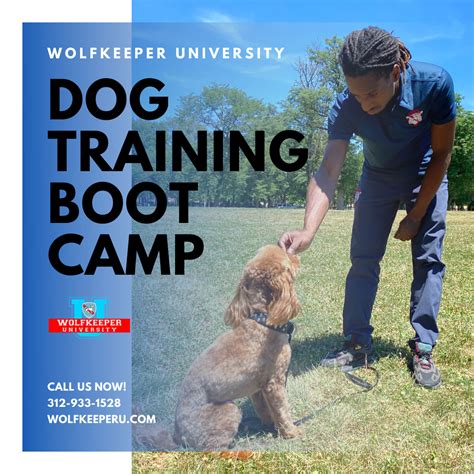dog training boot camp charlotte nc