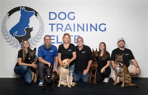 Dog Training Camp Austin