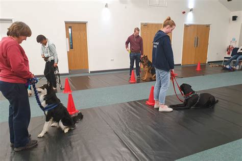dog training courses held near barnard castle