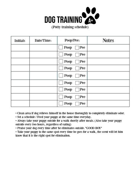 dog training plan pdf