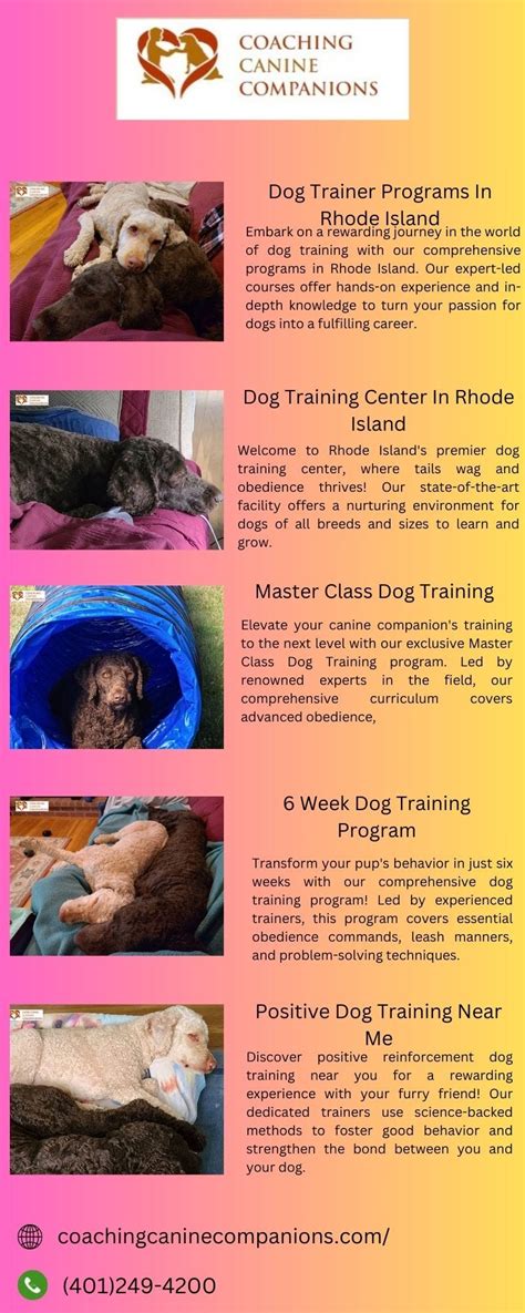 Dog Training Program For Sale