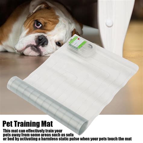 dog training scat mat
