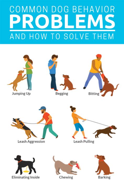 Dog training: Dealing with behavioral problems