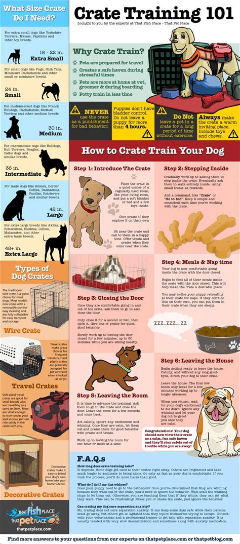 Dog Training Tips For Crate