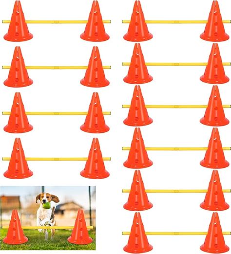 Dog Training With Cones