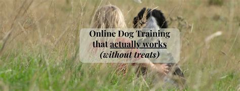 Dog Training Without A Contractor