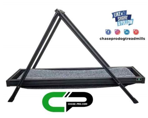 Dog Treadmill Gumtree