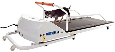 Dog Treadmill Newcastle