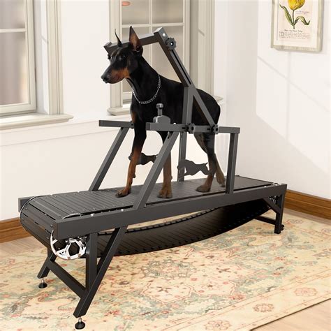 Dog Treadmill Price
