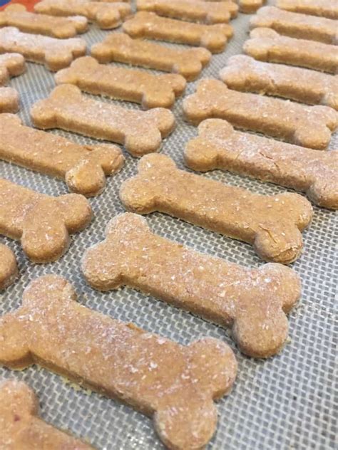 dog treats recipes pumpkin peanut butter