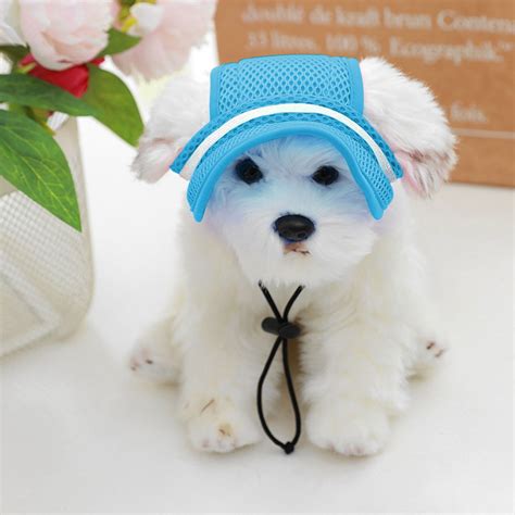 Dog Visor Hat