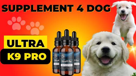 dog vitamins ultra k9 training videos