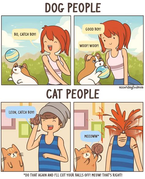 Dog Vs Cat Jokes