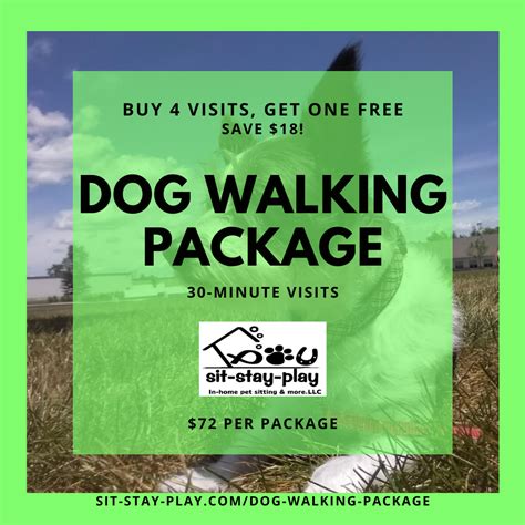 dog walking packages on offer with reviews