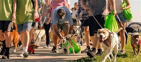 dog walking packages ottawa