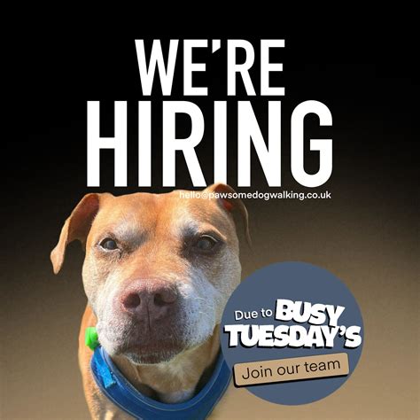 dog walking vacancies